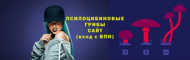 гашик Балабаново