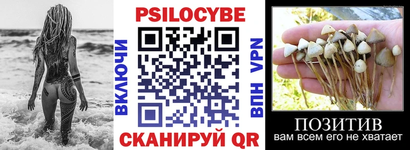 Галлюциногенные грибы Psilocybine cubensis  мега как войти  Шарыпово  даркнет сайт 